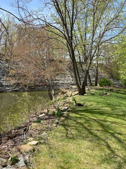 Riverview RV Park and Marina Picture 8