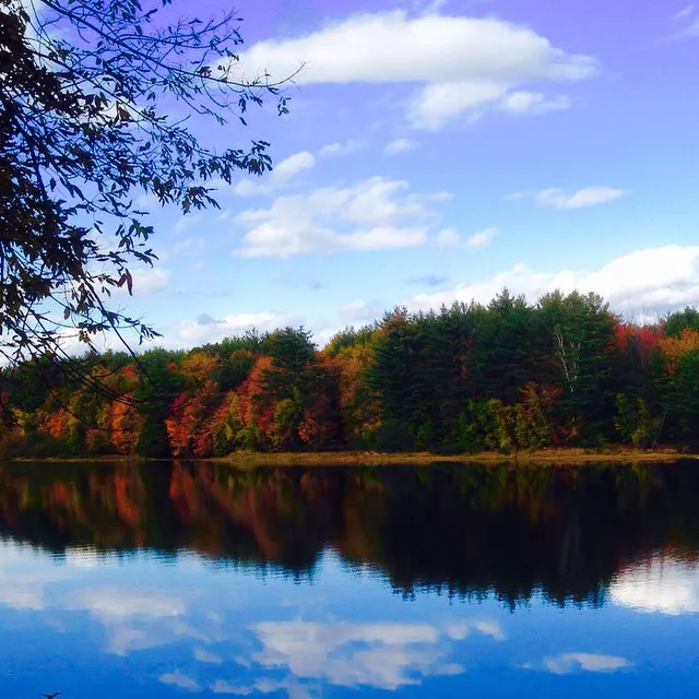 Davidson's Countryside Campground Picture 5