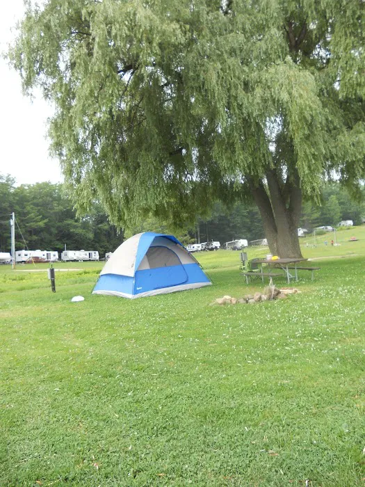 Davidson's Countryside Campground Picture 8