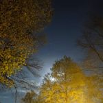 Shady Knolls Mobile Home Park