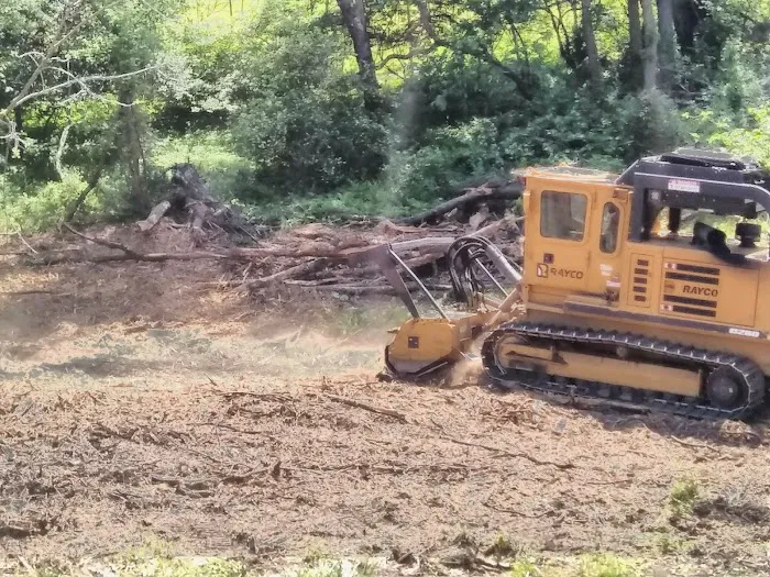 Shady Knolls Mobile Home Park Picture 4