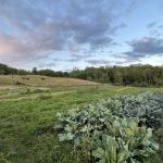 Free Verse Campground