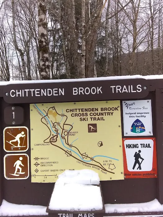 Chittenden Brook Campground Picture 10