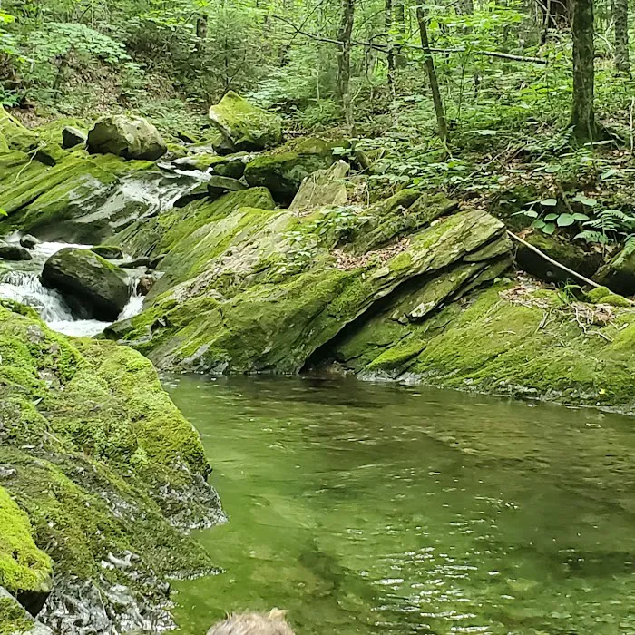 Chittenden Brook Campground Picture 9