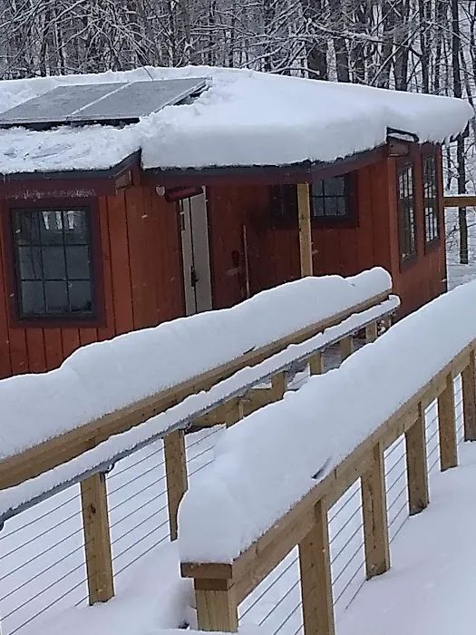 Chittenden Brook Campground Picture 8