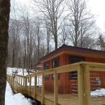 Chittenden Brook Campground