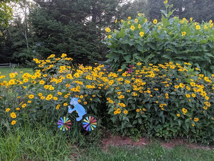 Jacobs Brook Campground Picture 8