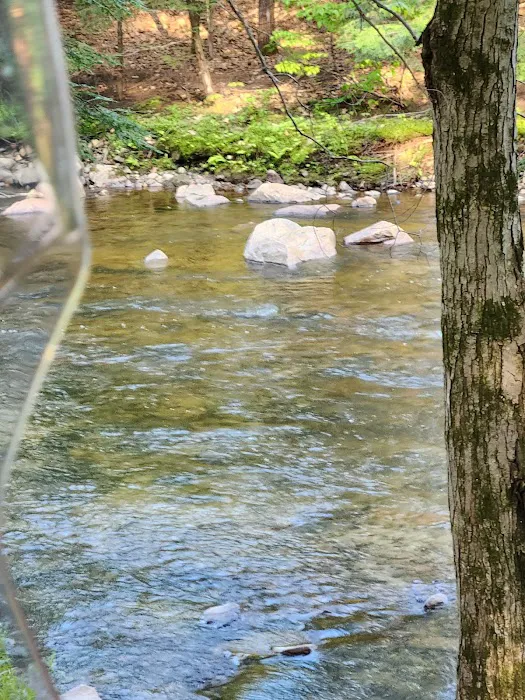Pine Haven Campground Picture 4
