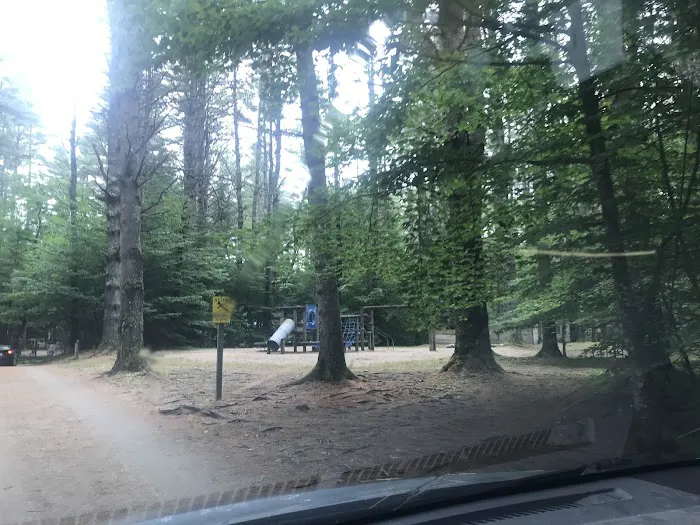 Pine Haven Campground Picture 10