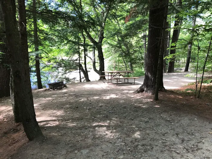 Pine Haven Campground Picture 8