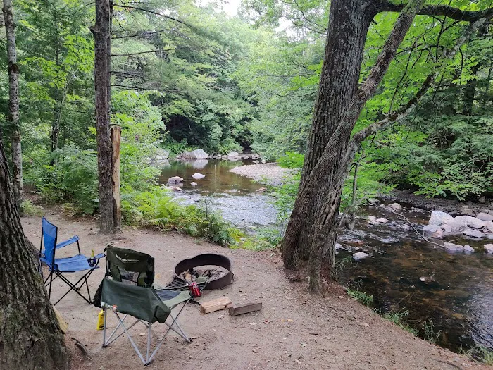 Pine Haven Campground Picture 6