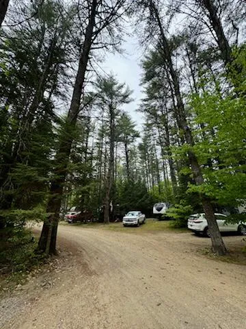 Pine Haven Campground Picture 2