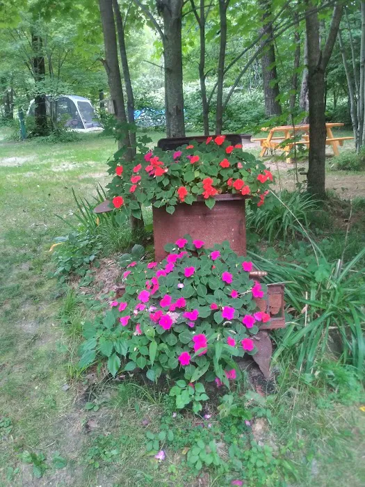 Mountain Pines Campground Picture 9