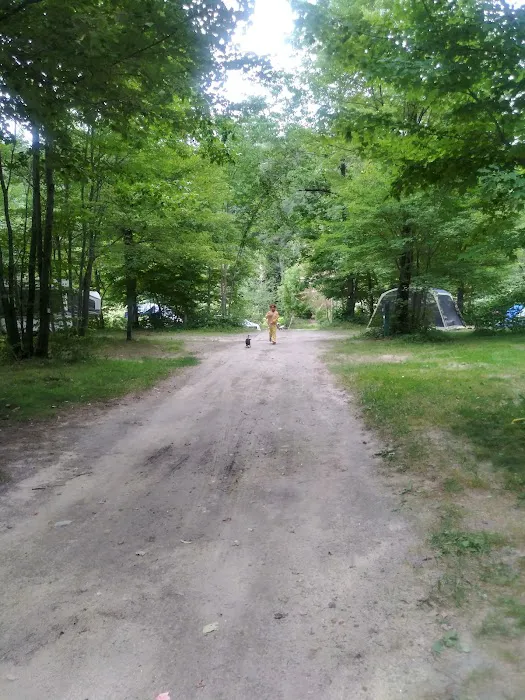 Mountain Pines Campground Picture 3
