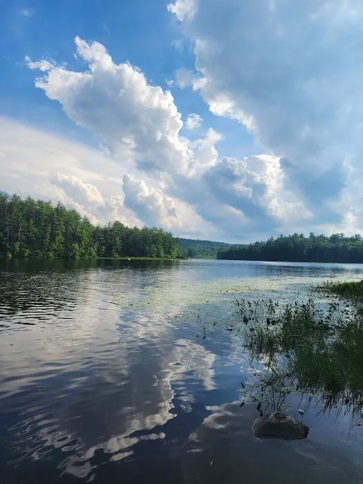 Beaver Pond Campground at Bear Brook State Park Picture 3