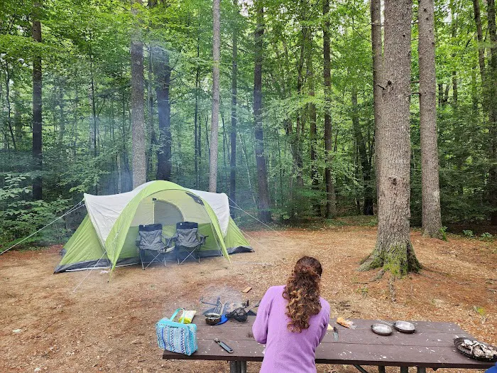 Beaver Pond Campground at Bear Brook State Park Picture 5