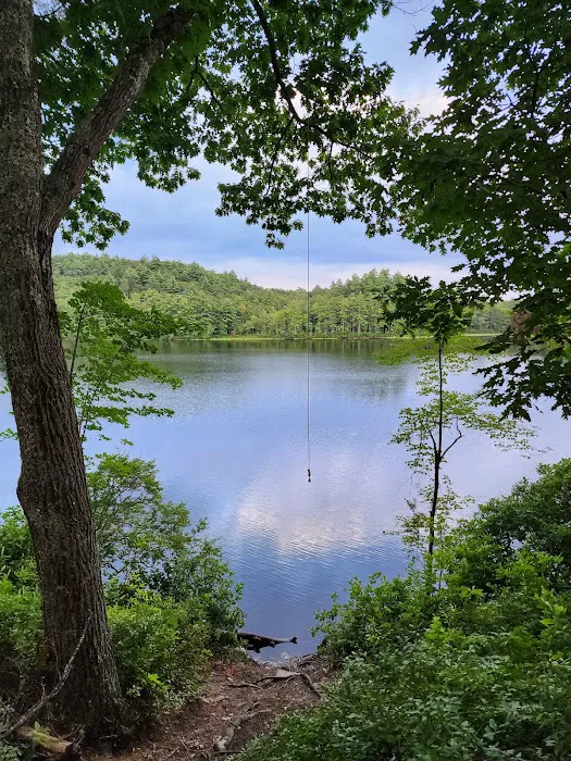 Beaver Pond Campground at Bear Brook State Park Picture 8