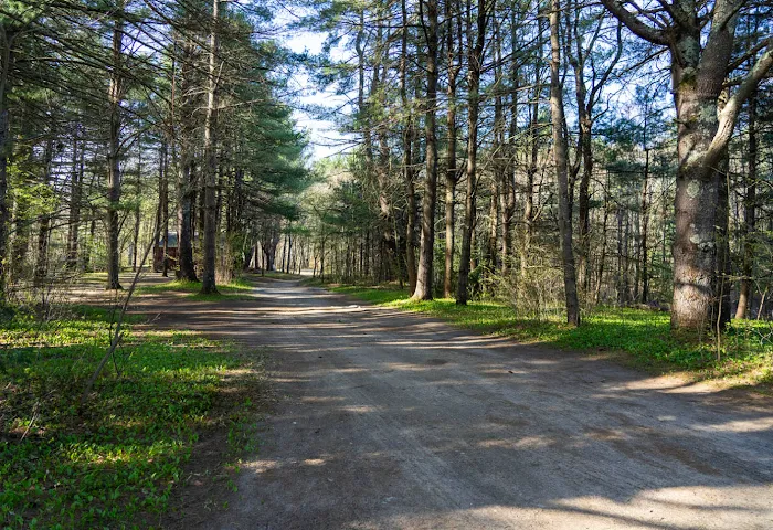 Epsom Valley Campground Picture 3