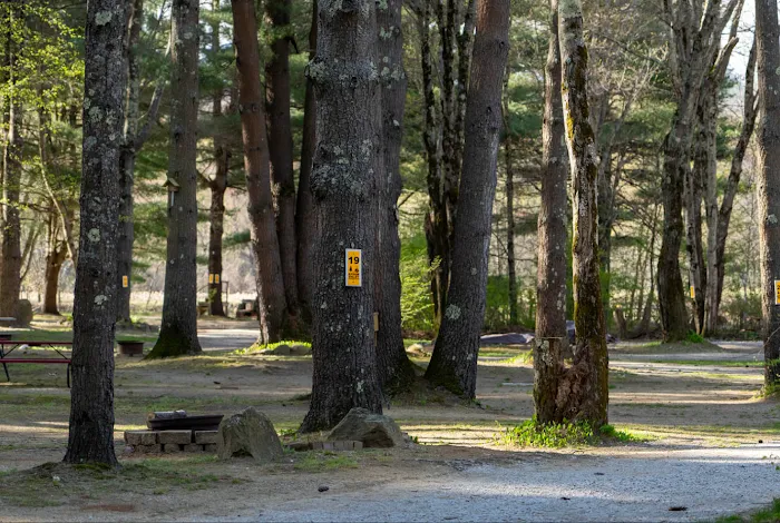 Epsom Valley Campground Picture 4