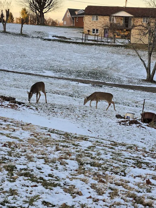 Meadowbrooke RV Park Picture 7