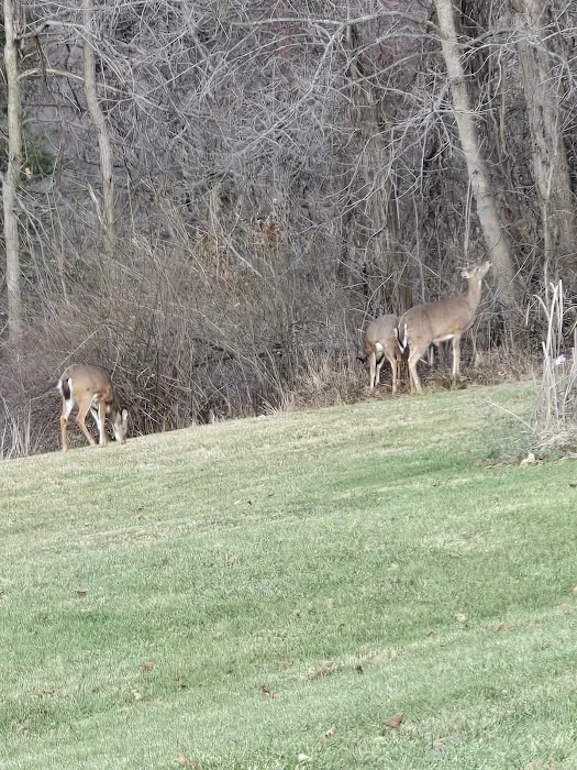 Meadowbrooke RV Park Picture 3