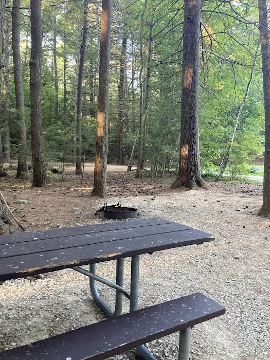 Neal’s Cove, Pawtuckaway State Park. Picture 2