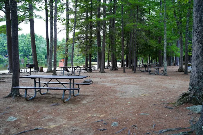 Neal’s Cove, Pawtuckaway State Park. Picture 4