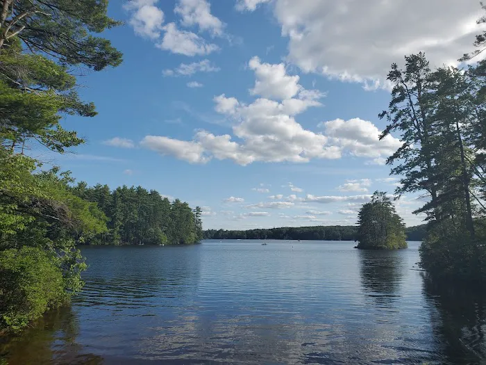 Neal’s Cove, Pawtuckaway State Park. Picture 8