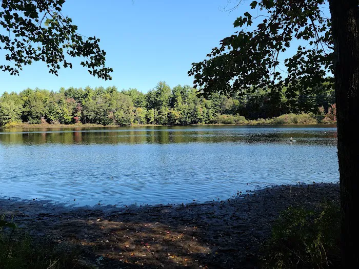 Pine Acres Campground Picture 7