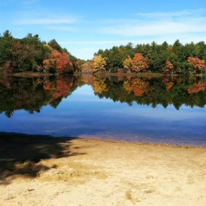 Pine Acres Campground Picture 5