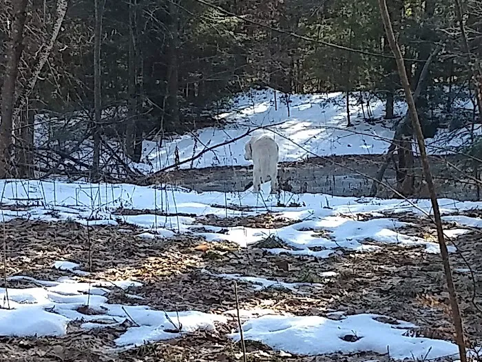 ROCKY ROAD CAMPGROUND INC. Picture 5