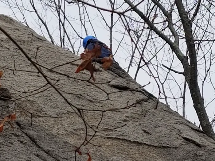 New England Base Camp Picture 5