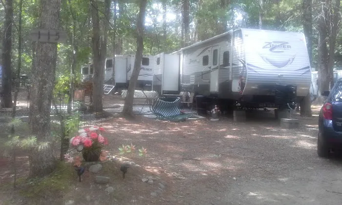 Country Shore Camping Area Picture 2