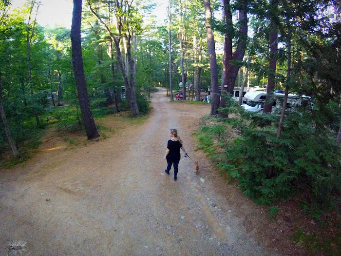 Country Shore Camping Area Picture 6