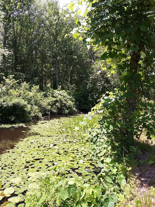 Golden Acres Family Campground Picture 4