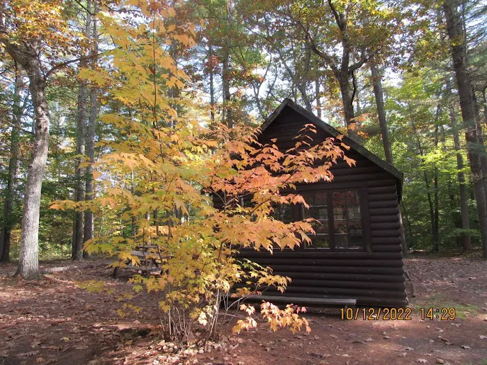Lone Tree Camp & Cabins Picture 3