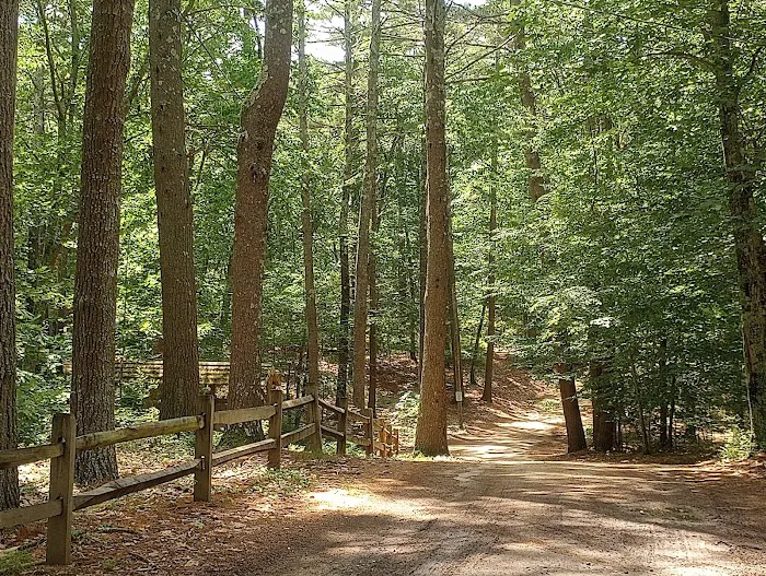 Lone Tree Camp & Cabins Picture 8