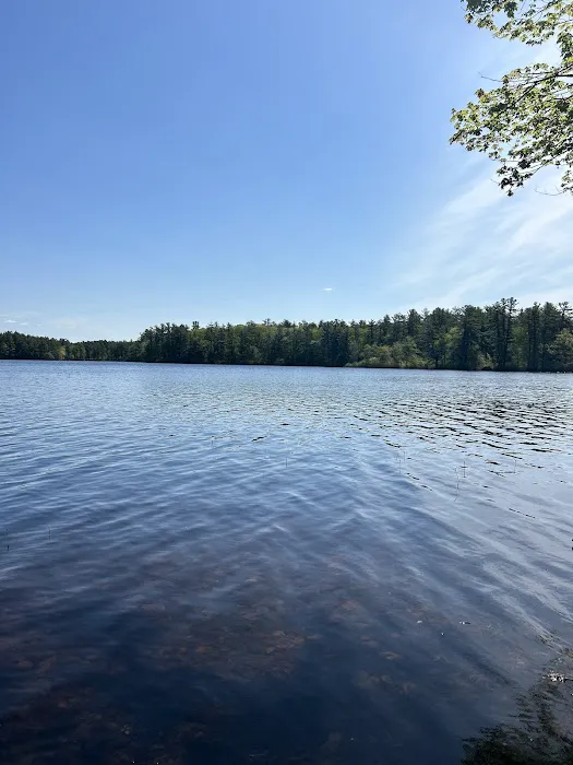 Lone Tree Camp & Cabins Picture 5