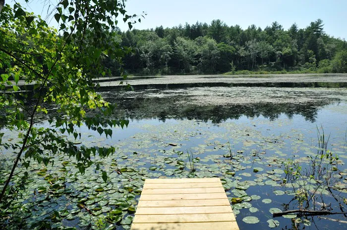 Tuxbury Pond Campground Picture 10