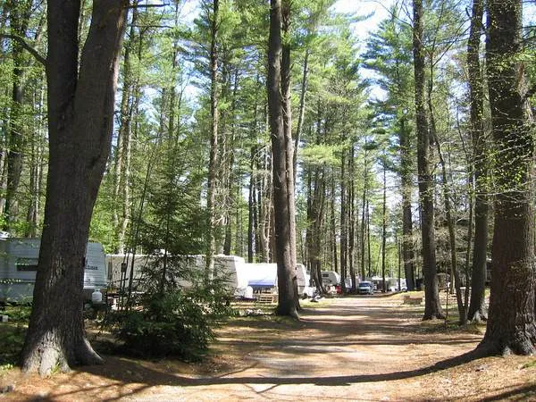 Tuxbury Pond Campground Picture 6