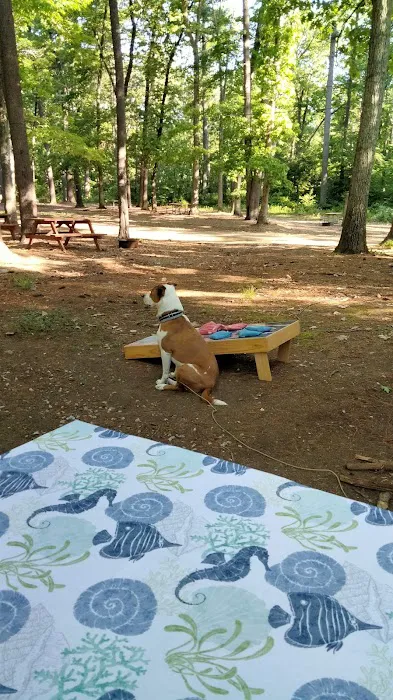 Black Bear Campground Picture 2