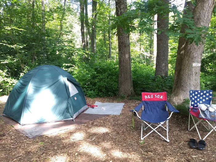 Black Bear Campground Picture 1