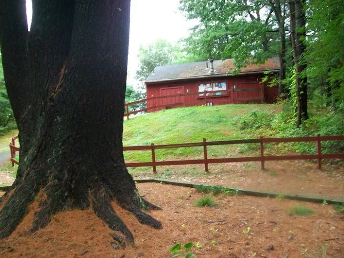 Rusnik Campground Picture 5