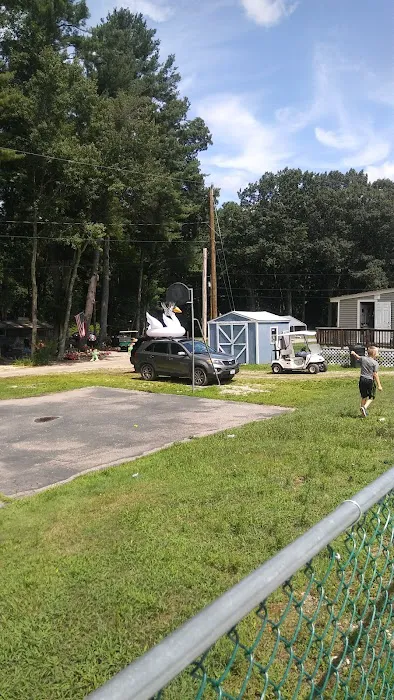 Wadleigh Falls Campground Picture 5