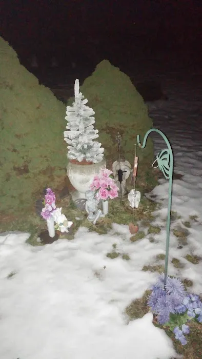 Twin Brooks Campground Picture 1