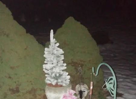 Twin Brooks Campground