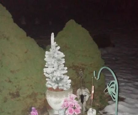 Twin Brooks Campground