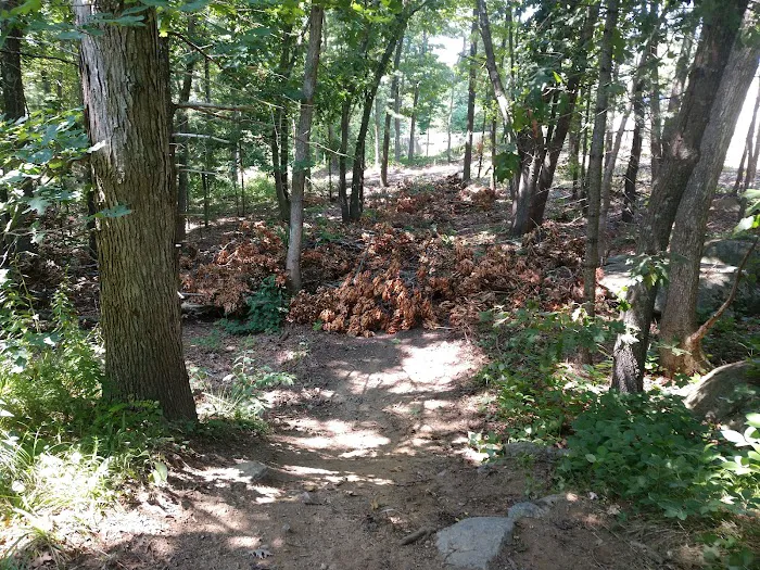 Twin Brooks Campground Picture 3