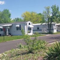 Silverstone Lake Estates ico