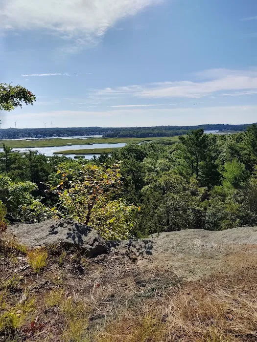 Cape Ann Camp Site Picture 5